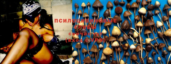 сатива Михайлов