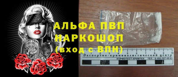 сатива Михайлов