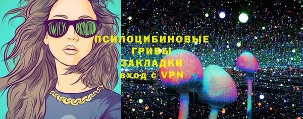 ПСИЛОЦИБИНОВЫЕ ГРИБЫ Навашино