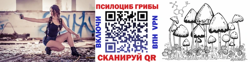 даркнет клад цена наркотик Петрозаводск Галлюциногенные грибы MAGIC MUSHROOMS