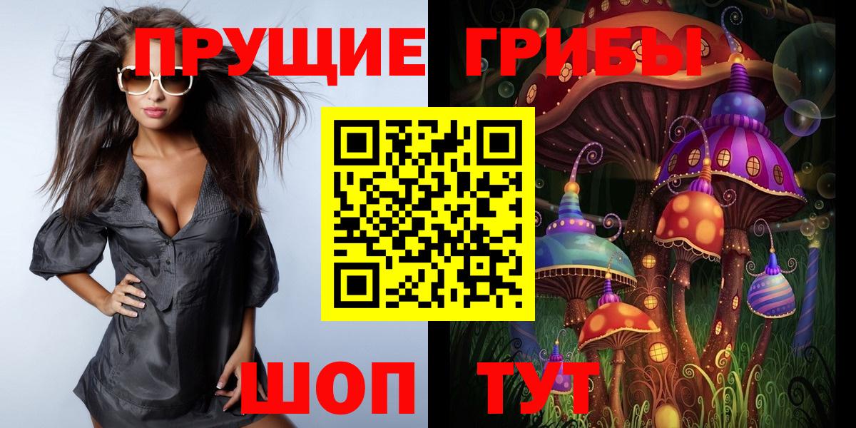 Псилоцибиновые грибы GOLDEN TEACHER  Вход с VPN  Петрозаводск 