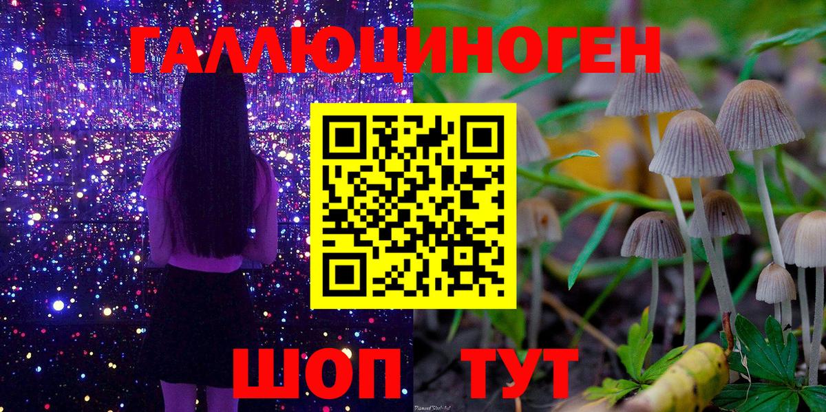 Галлюциногенные грибы MAGIC MUSHROOMS Петрозаводск